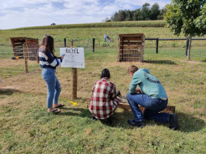 Petting Zoo in Honey Brook, PA