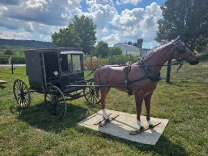 Horse and Carriage statue in Honey Brook, PA