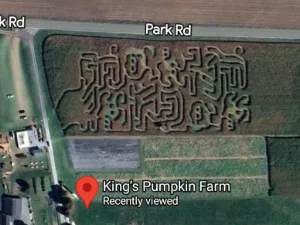 Corn Maze in Honey Brook, PA