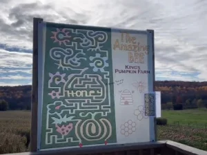 Corn Maze in Honey Brook, PA