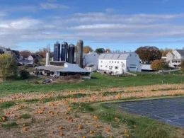 A view of the Kings Family Farm